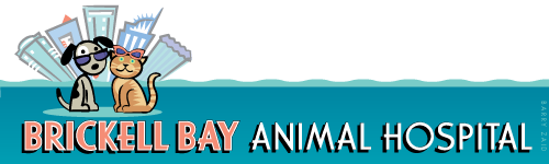 Brickell Bay Animal Hospital